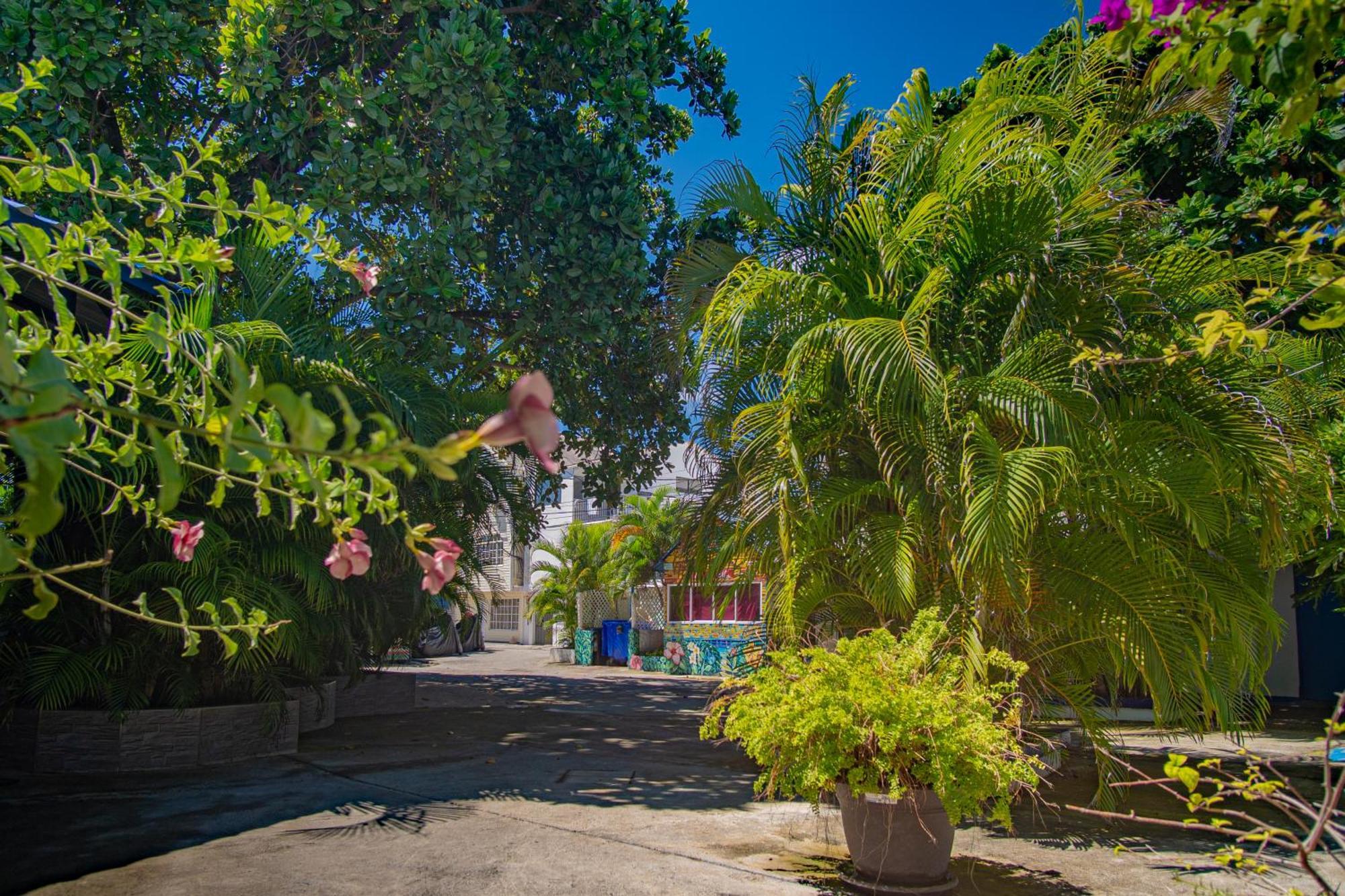 Alojamiento San Martin Hostel San Andres  Exterior photo